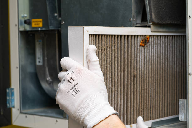 Best Home Air Vent Cleaning  in Cuero, TX
