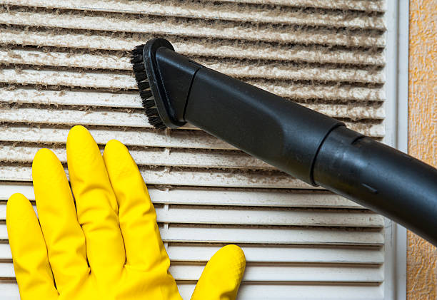 Best Ductwork Cleaning Services  in Cuero, TX